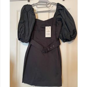 Zara Puff Sleeve Dress